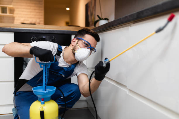 Best Bed Bug Extermination  in Vernon, WI