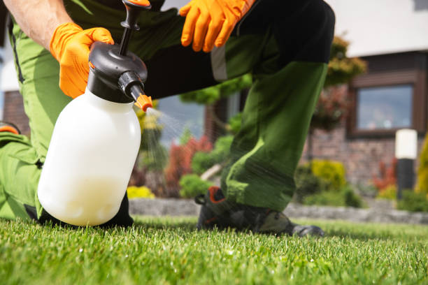 Best Emergency Pest Control  in Vernon, WI
