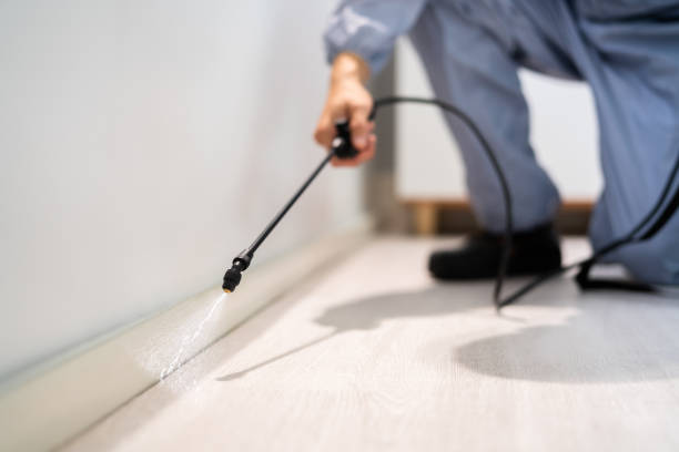 Best Pest Removal Services  in Vernon, WI