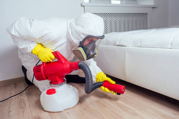Best Pest Removal Services  in Vernon, WI