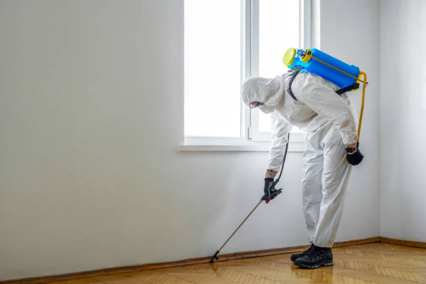 Best Pest Control Near Me  in Vernon, WI