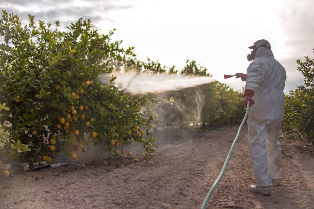 Best Pest Control for Homes  in Vernon, WI