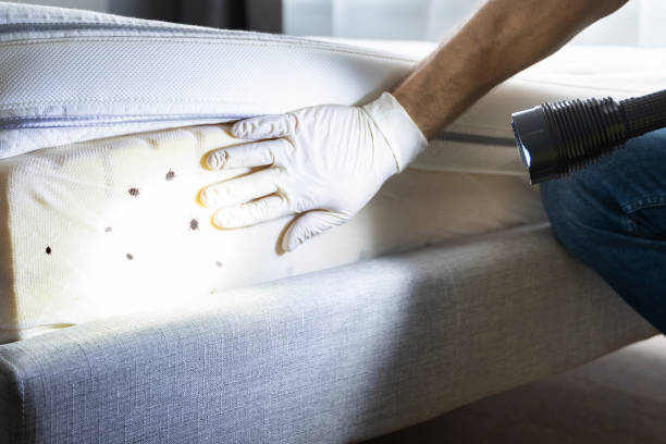 Best Pest Control Near Me in Vernon, WI