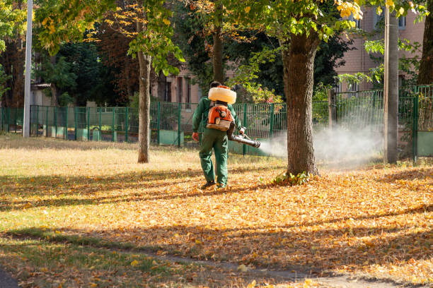 Best Emergency Pest Control  in Vernon, WI