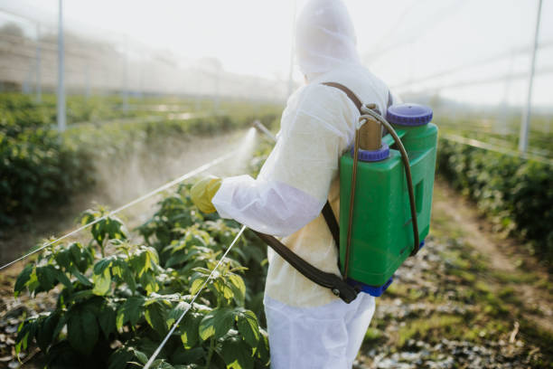 Best Exterminator Services  in Vernon, WI
